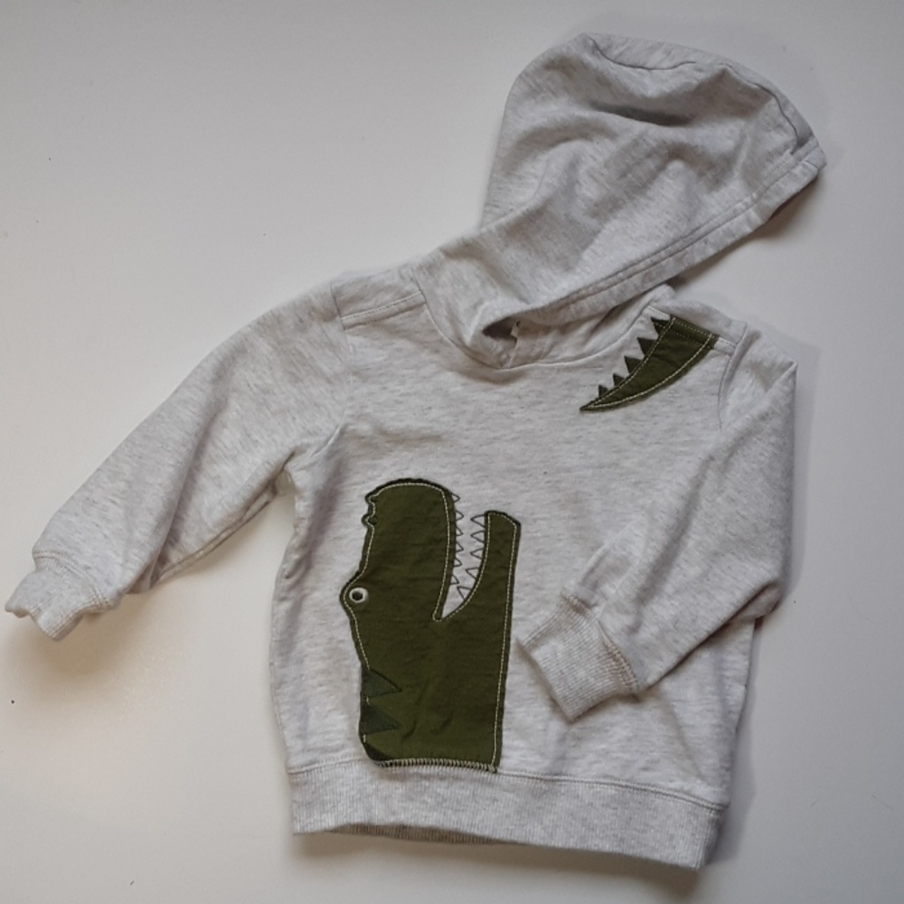 Dinosaur hoodie - Picture 1 of 2